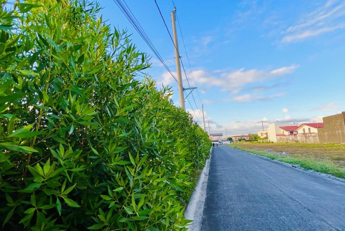 viber_image_2023-02-04_08-33-52-998