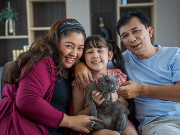 How to Find the Ideal Home For Your Family