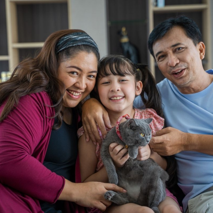 How to Find the Ideal Home For Your Family