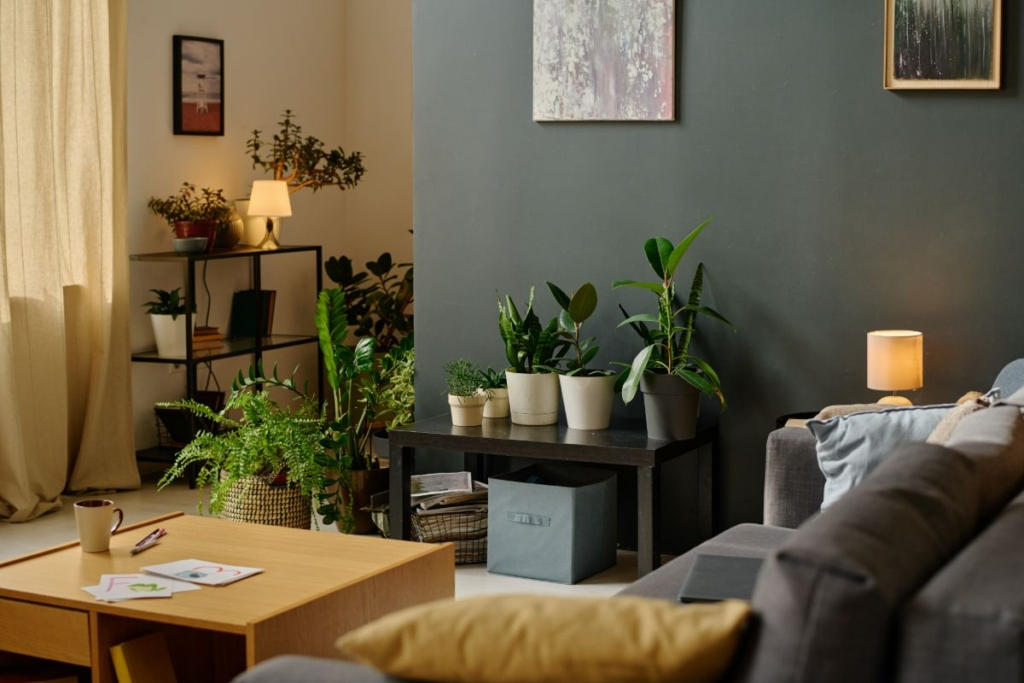 Open-Plan Living Areas for Activities