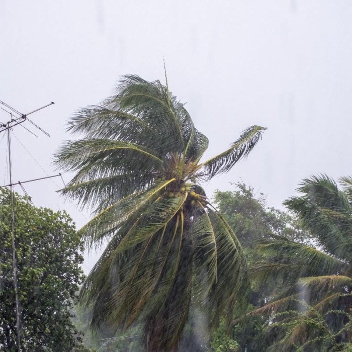 Why Disaster-Resilient Homes Are Essential for Filipino Families