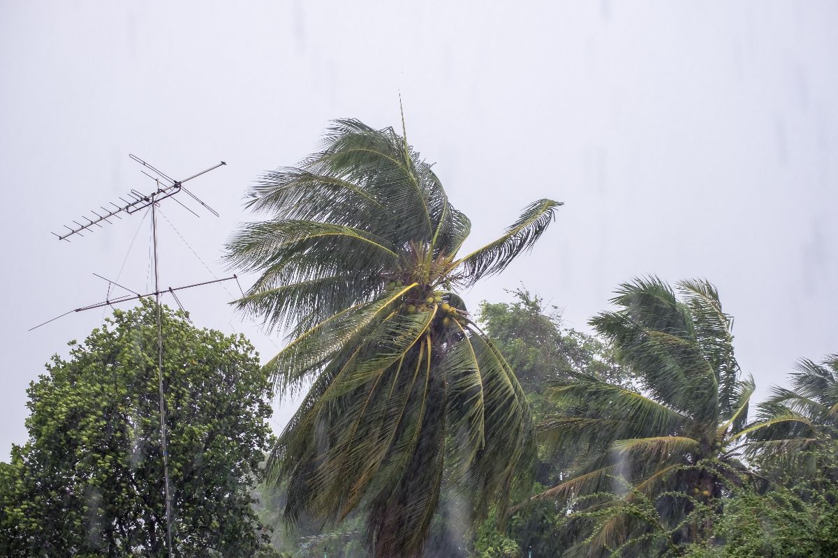 Why Disaster-Resilient Homes Are Essential for Filipino Families